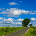 Sommer im Rhön-Grabfeld