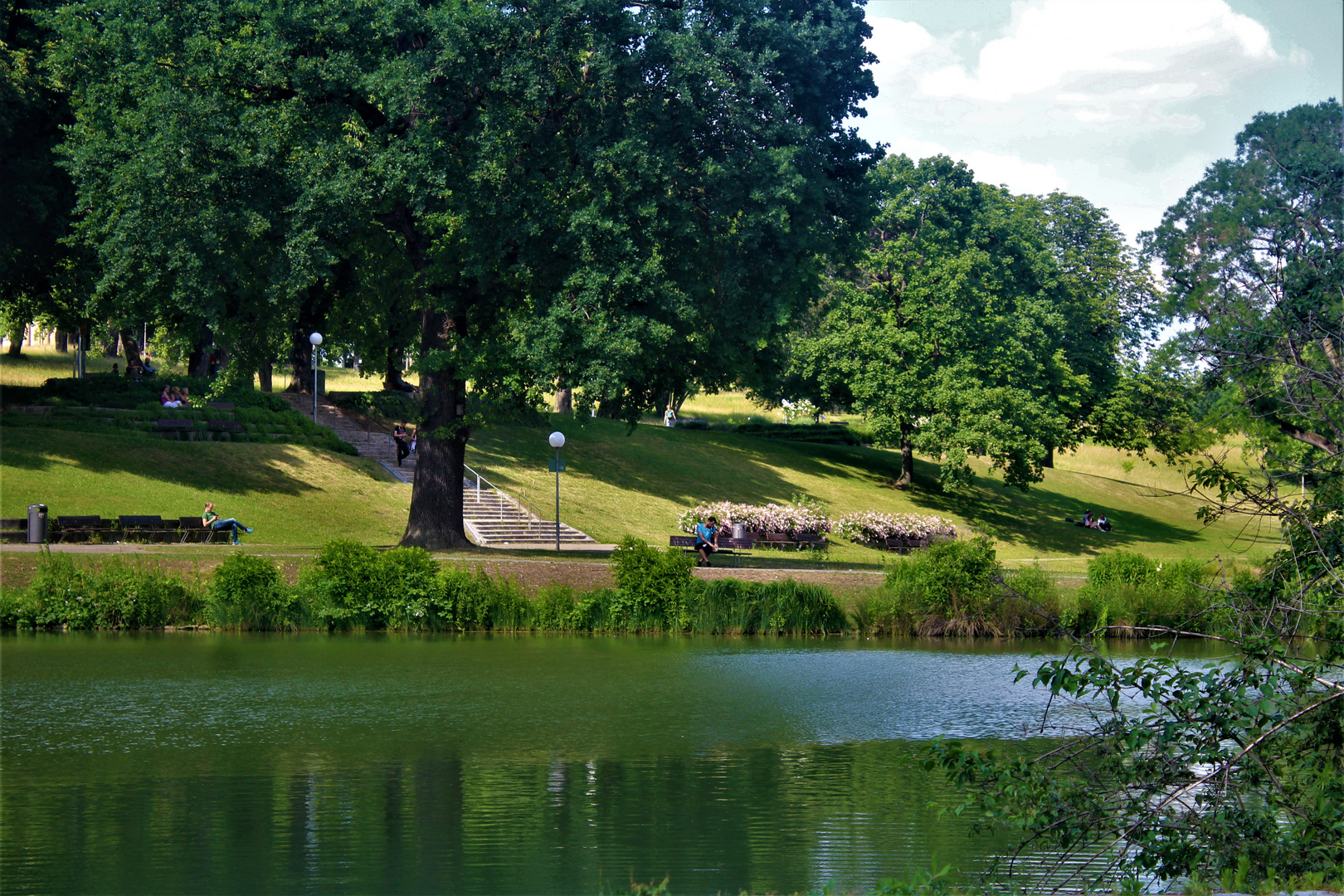 Sommer im Rosensteinpark