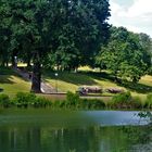 Sommer im Rosensteinpark