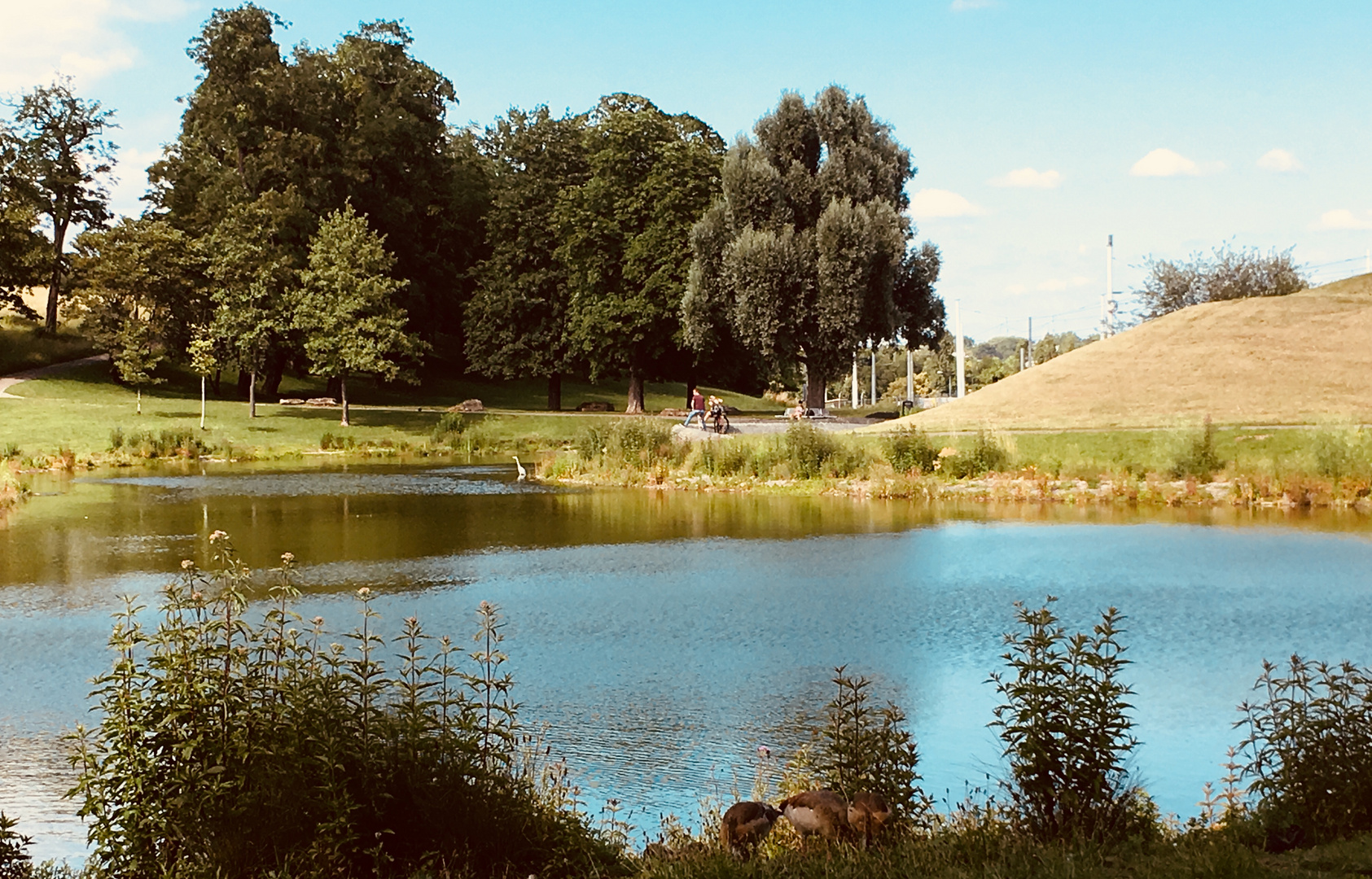 Sommer im Rosensteinpark