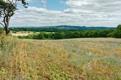 Sommer im Saarland