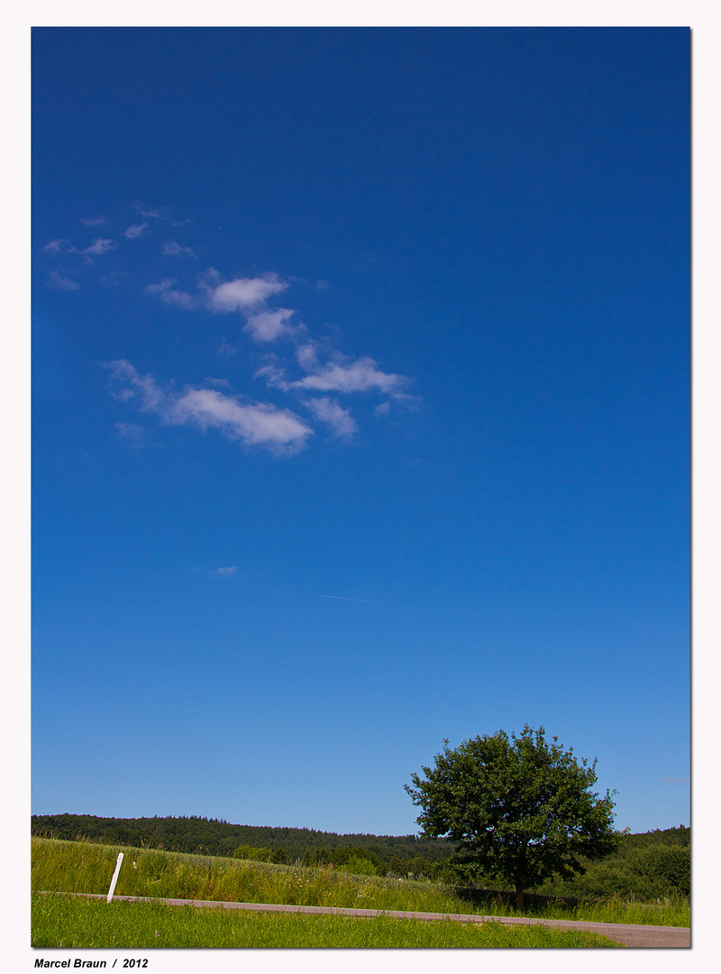 Sommer im Saarland