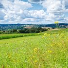 Sommer im Saarland