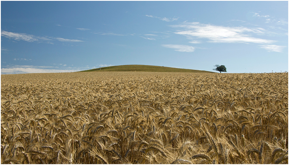 Sommer im Sauerland (3)