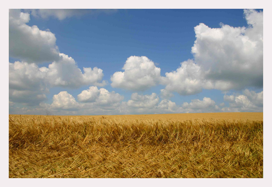 Sommer im Sauerland