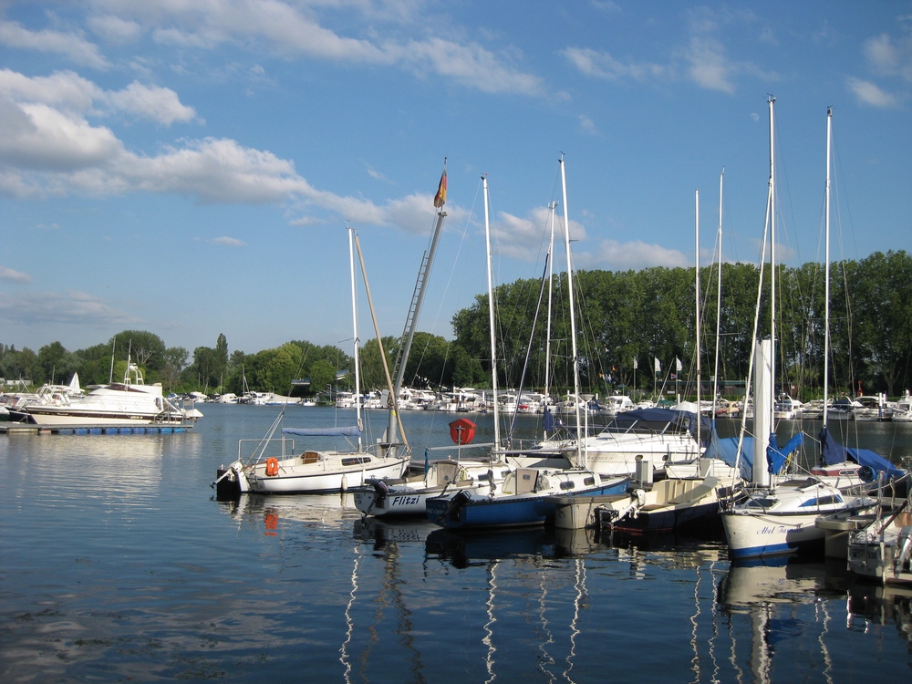 Sommer im Schiersteiner Hafen