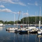 Sommer im Schiersteiner Hafen