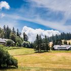 Sommer im Schwarzwald