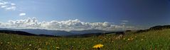 Sommer im Schwarzwald