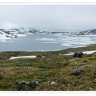 Sommer im Sognefjell