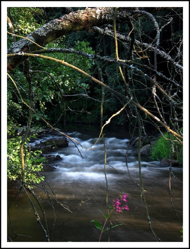 Sommer im Spessart