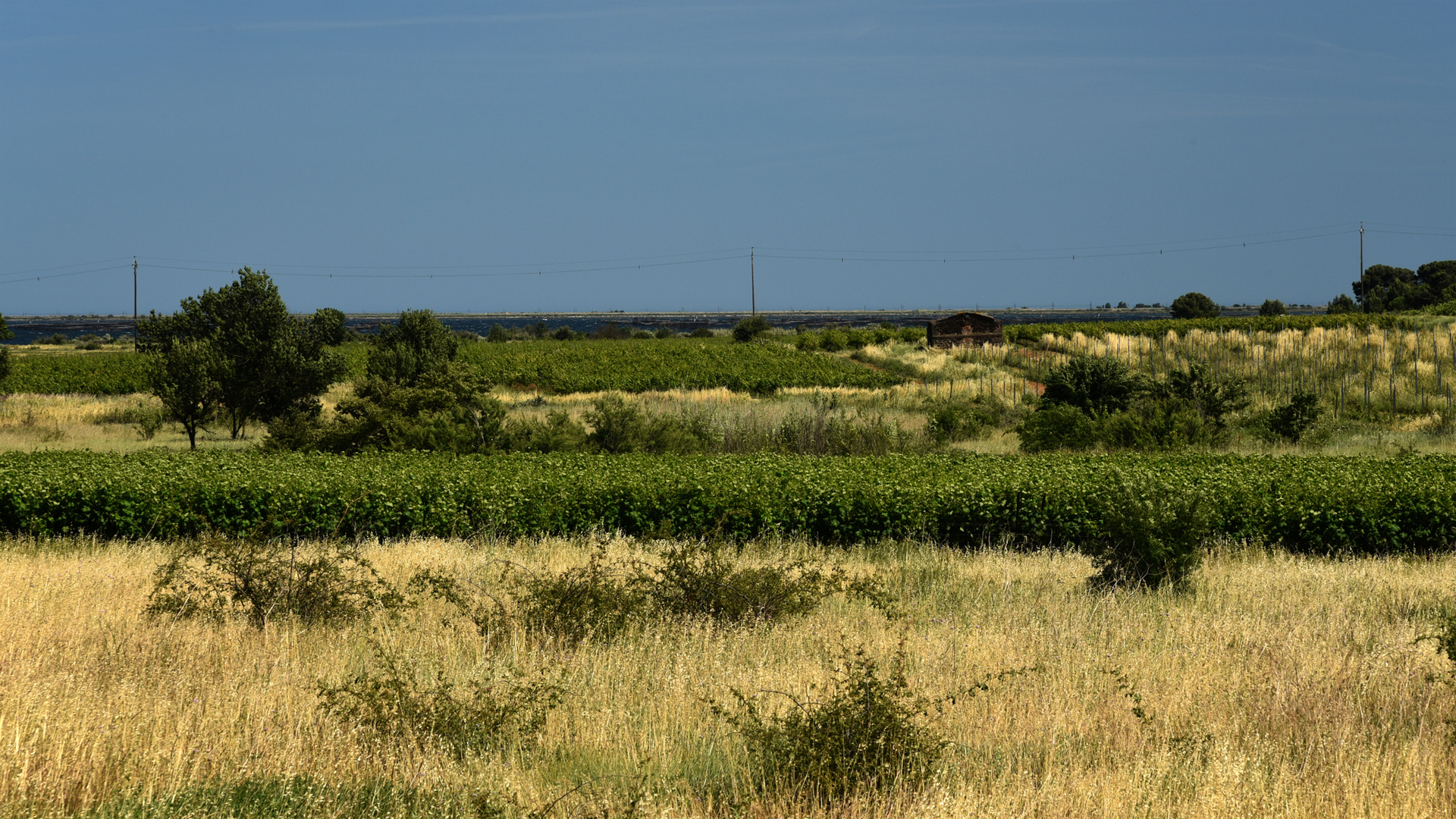 Sommer im Süden