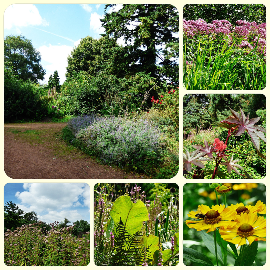 Sommer im Südpark