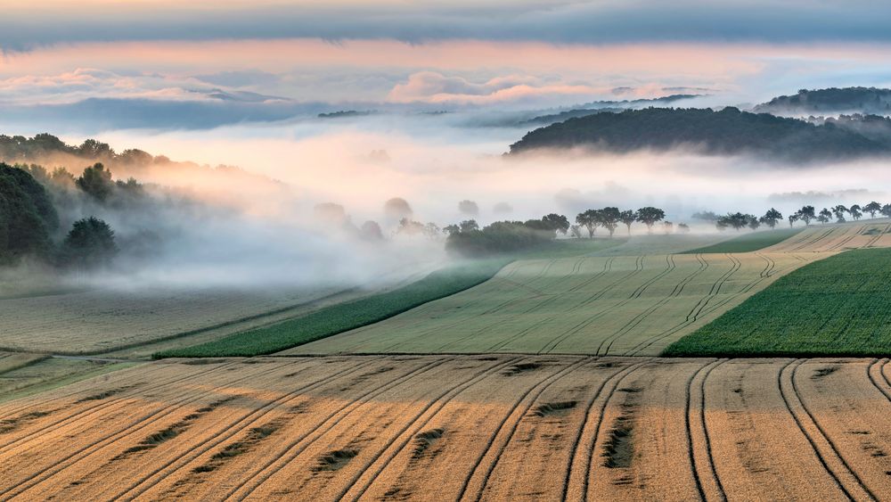 *Sommer im Tal der Morgennebel*