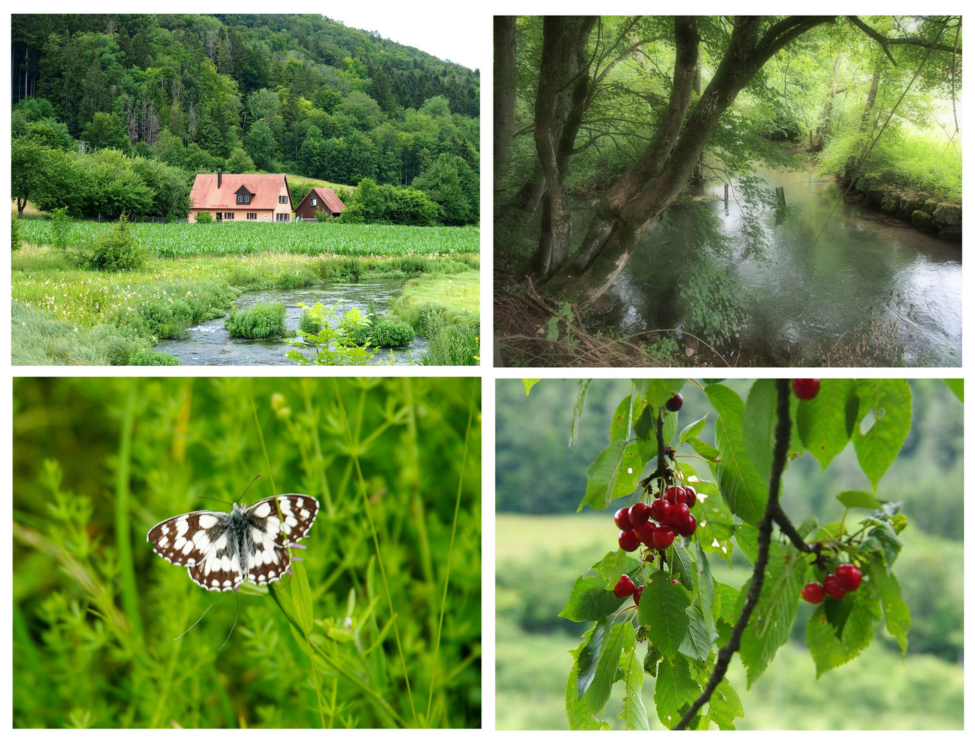 Sommer im  Trubachtal