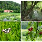 Sommer im  Trubachtal