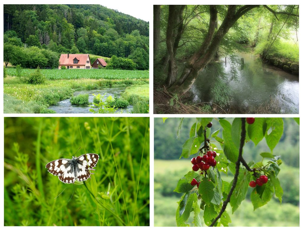 Sommer im  Trubachtal