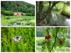 Sommer im  Trubachtal