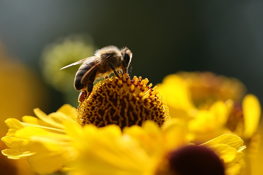 Sommer im Vorbeigehen