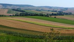 . . Sommer im Weinviertel . .