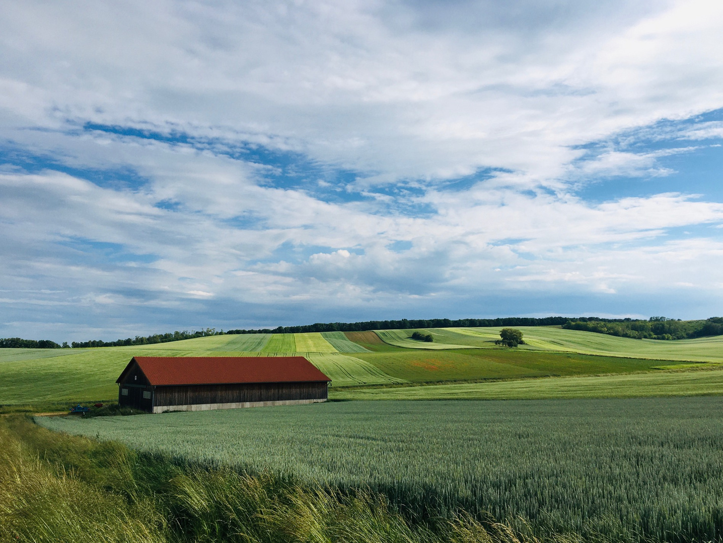 sommer im weinviertel