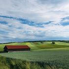 sommer im weinviertel