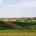 Sommer im Weinviertel