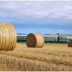 sommer im weinviertel