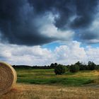 Sommer im Wendland