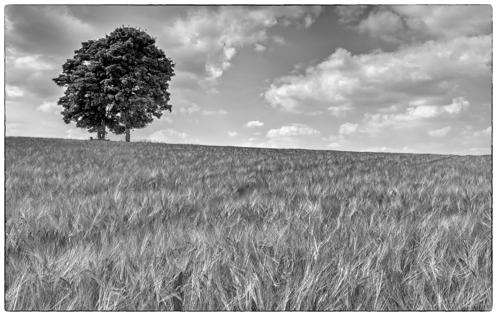 Sommer im Westerwald