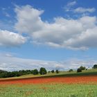 *Sommer im Wittlicher Land II*