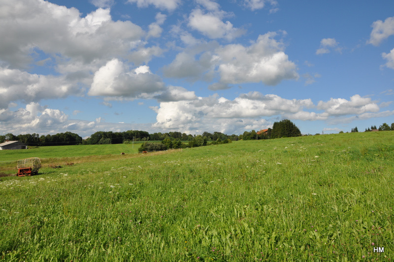 Sommer im württembergischen Allgäu II