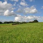 Sommer im württembergischen Allgäu II