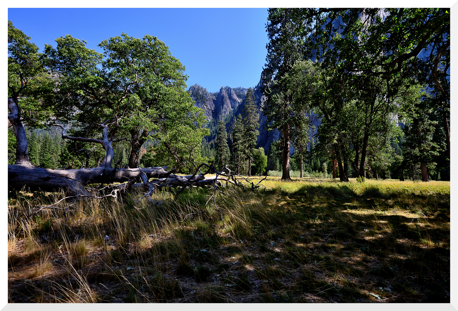 Sommer im Yosemite Valley 