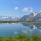 Sommer im Zillertal