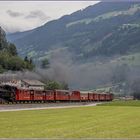 Sommer im Zillertal II