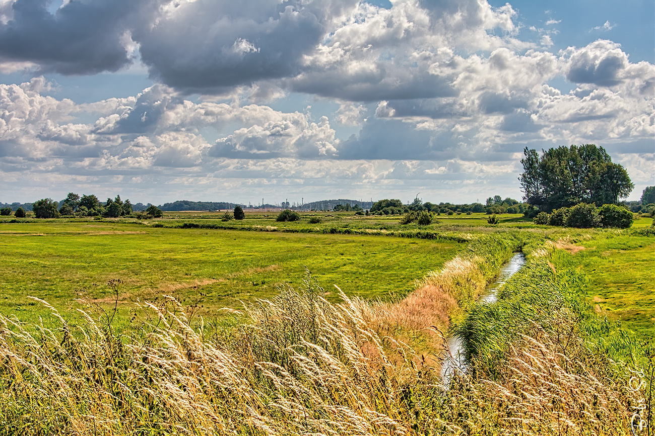 Sommer-Impression