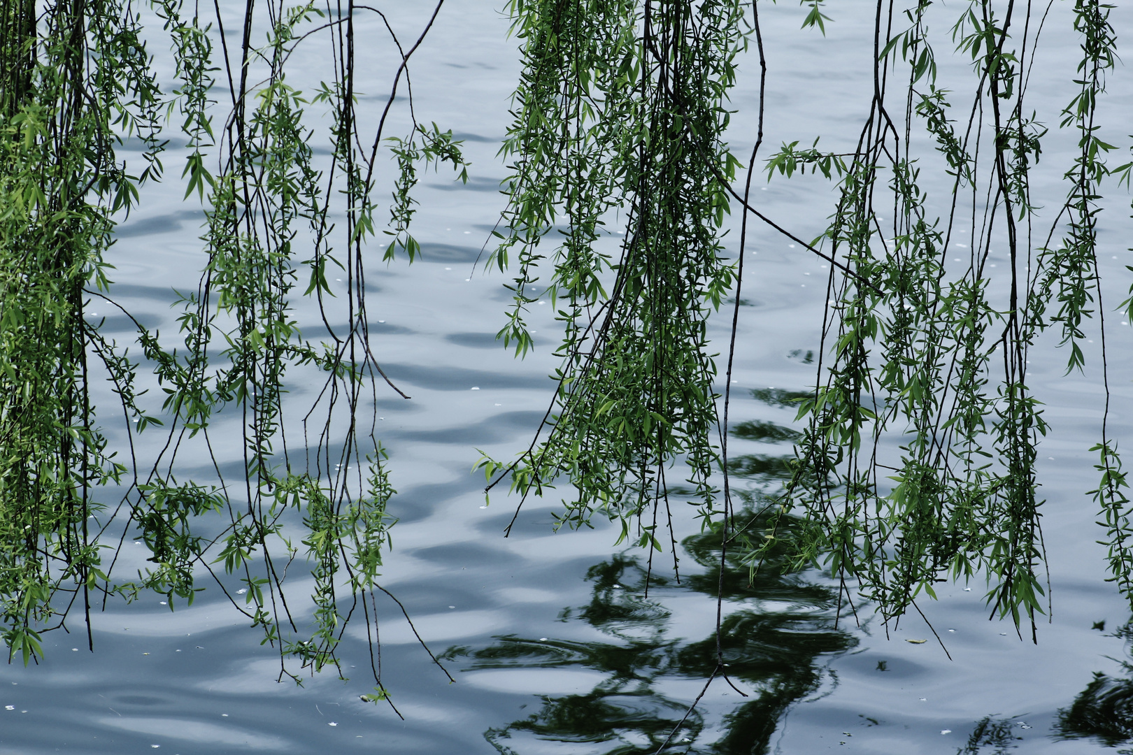 Sommer Impressionen 