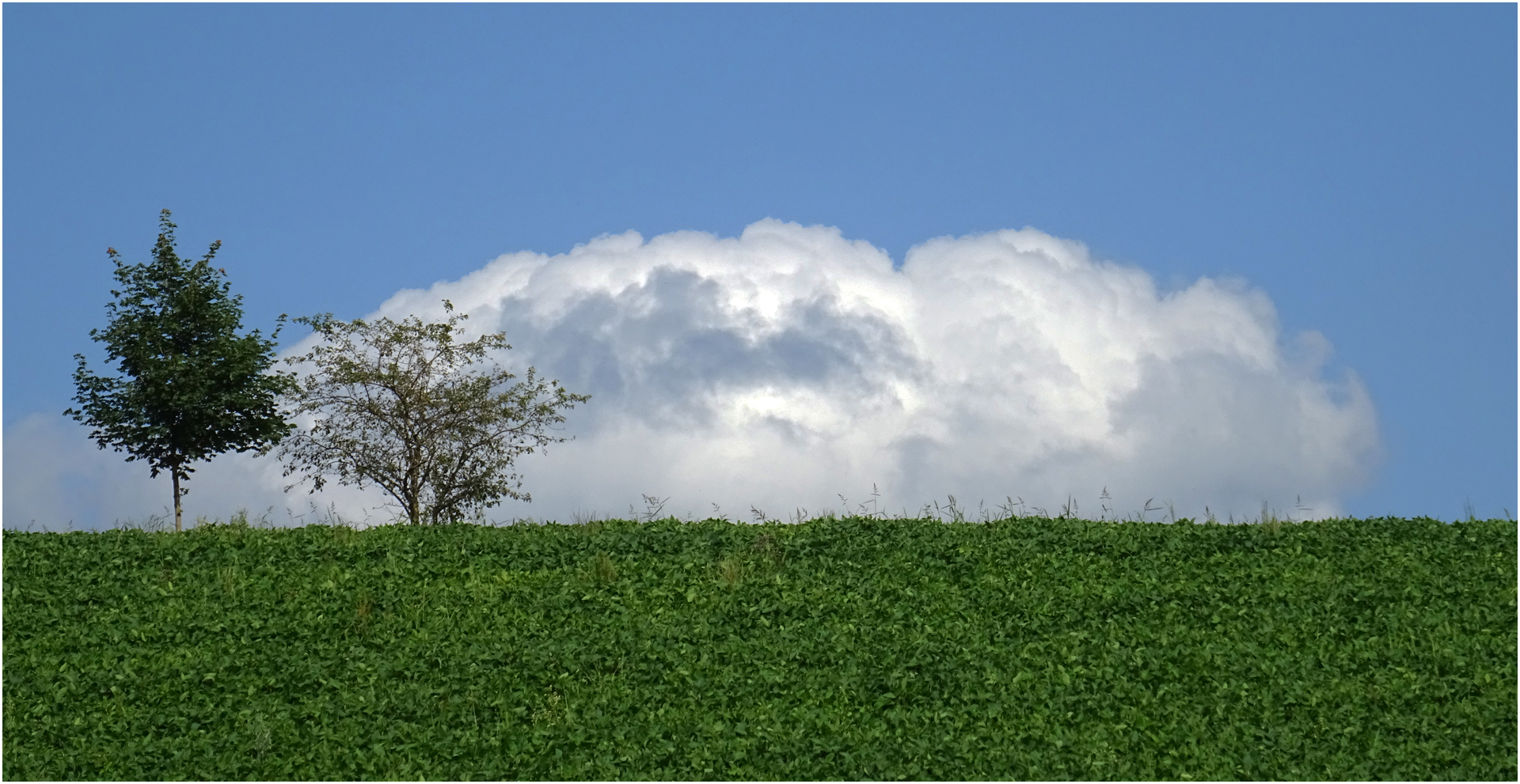 Sommer - Impressionen