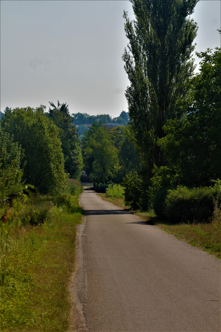 Sommer Impressionen ,