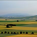 Sommer-Impressionen