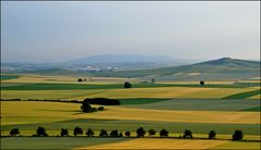 Sommer-Impressionen