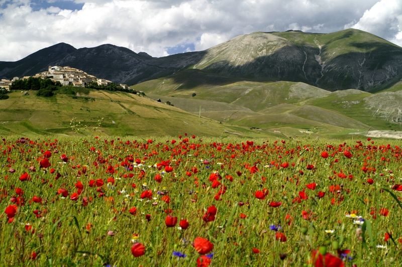 Sommer in 1400m Höhe