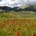 Sommer in 1400m Höhe