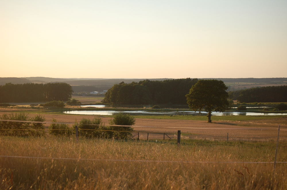 Sommer in Adelsdorf