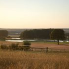 Sommer in Adelsdorf