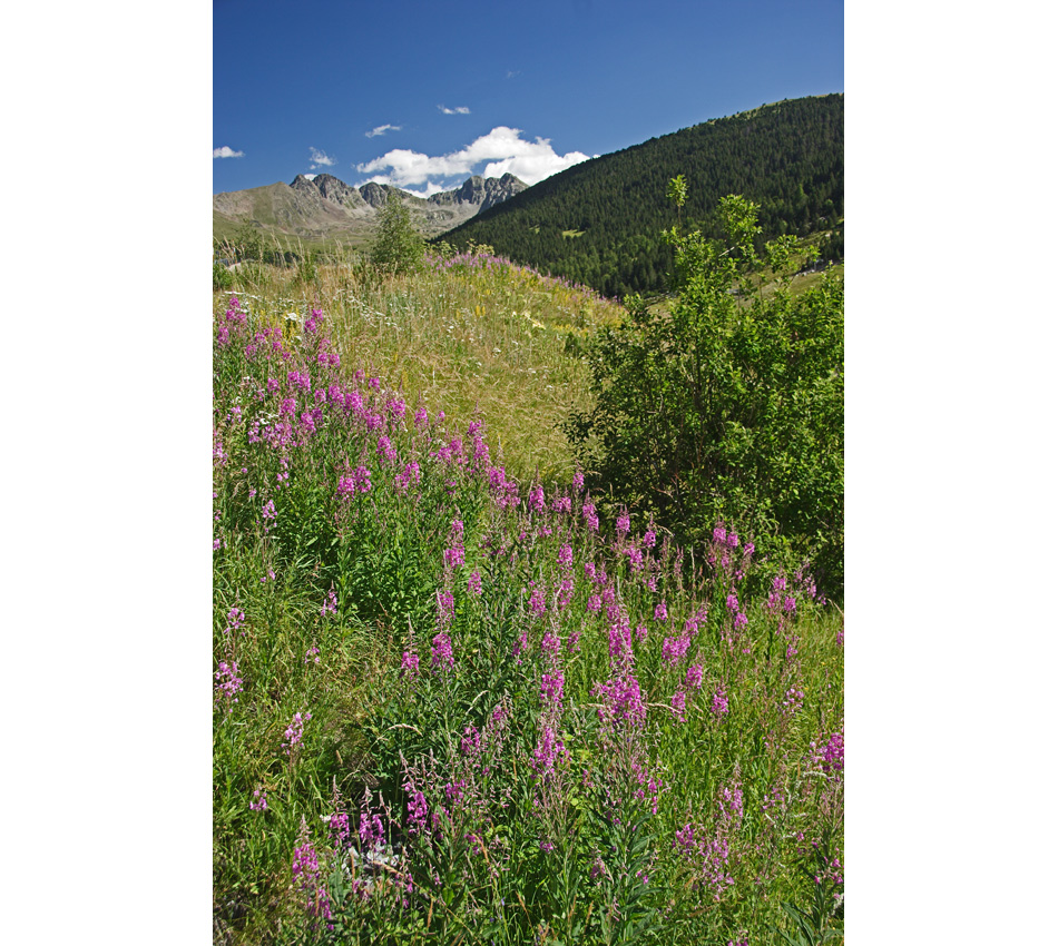 Sommer in Andorra 2