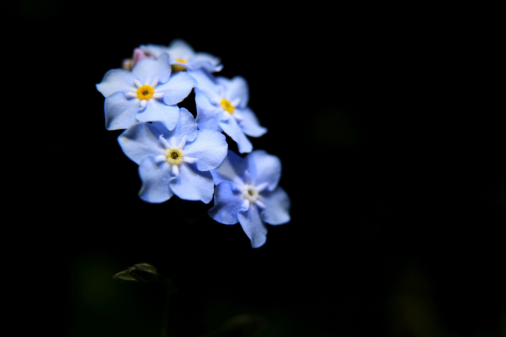 Sommer in Blau