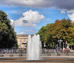 Sommer in Bonn