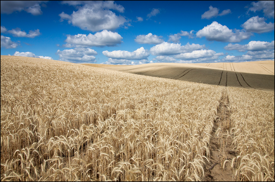 Sommer in Brandenburg